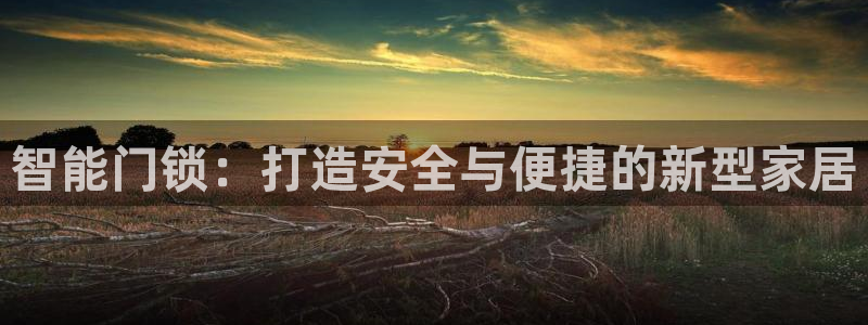 开丰娱乐日7O667：智能门锁：打造安全与便捷的新型家居