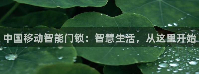 开丰娱乐主管家去判官333OO：中国移动智能门锁：智慧生活，