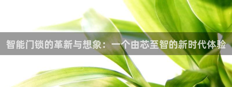 开丰娱乐最新活动：智能门锁的革新与想象：一个由芯至智的新时代