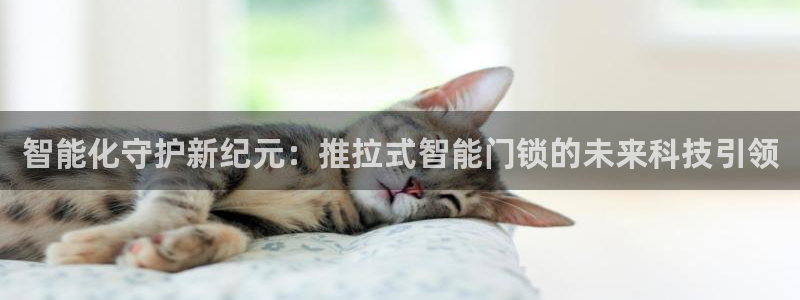 开丰娱乐上：智能化守护新纪元：推拉式智能门锁的未来科技引领