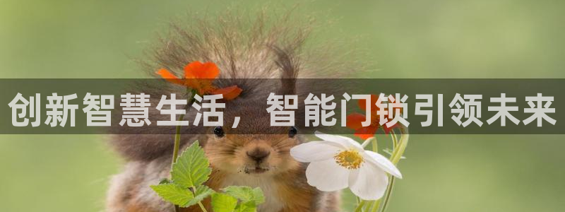 开丰娱乐登入地址在哪