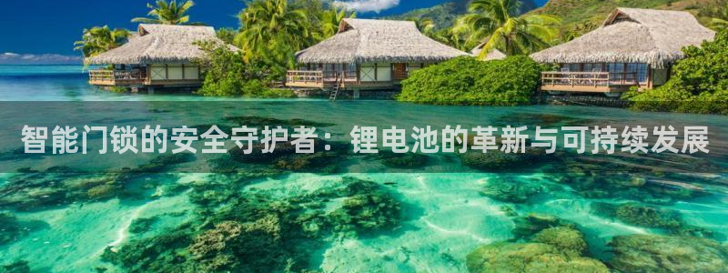 开丰娱乐联系q徽22212：智能门锁的安全守护者：锂电池的革