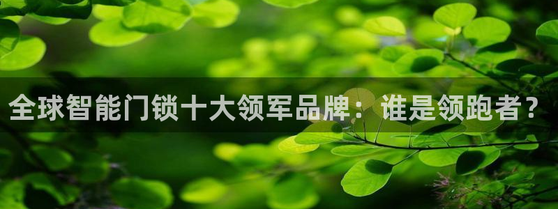 开丰娱乐左