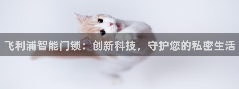 开丰娱乐注册系究耍333OO：飞利浦智能门锁：创新科技，守护
