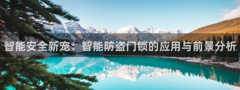 开丰娱乐平台地址电话：智能安全新宠：智能防盗门锁的应用与前景