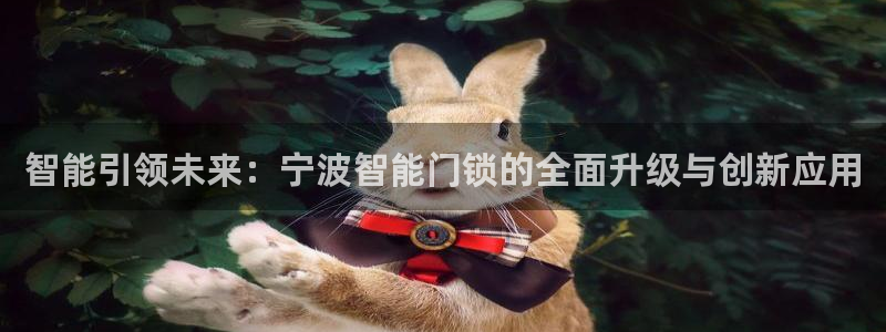 开丰娱乐与六七五一38：智能引领未来：宁波智能门锁的全面升级