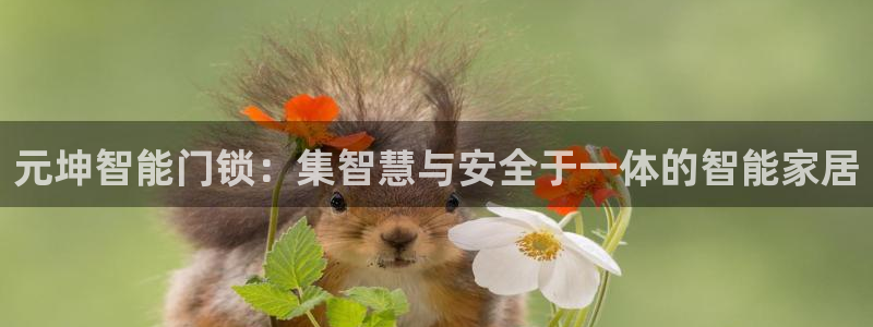 圩丰刚开的娱乐场所：元坤智能门锁：集智慧与安全于一体的智能家