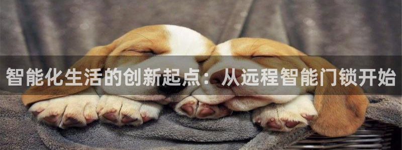 开丰娱乐前：智能化生活的创新起点：从远程智能门锁开始