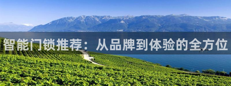 开丰娱乐右7O667：智能门锁推荐：从品牌到体验的全方位