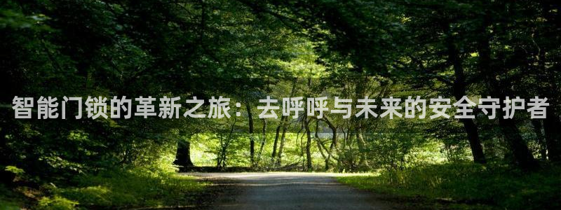 开丰娱乐手机app：智能门锁的革新之旅：去呼呼与未来的安全守