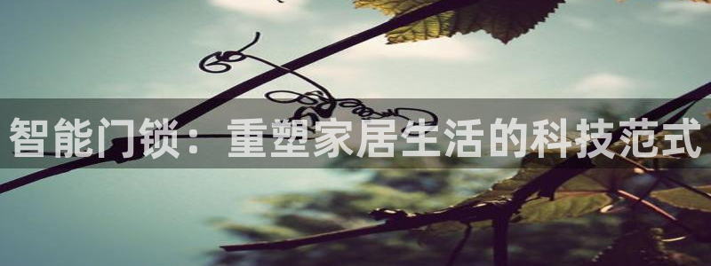 开丰娱乐后：智能门锁：重塑家居生活的科技范式