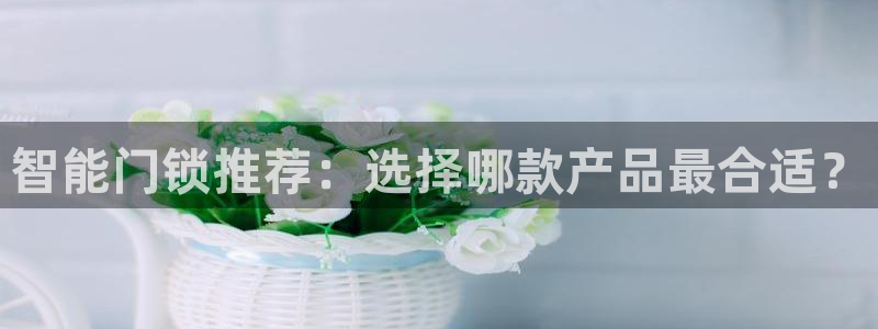 开丰娱乐官网平台登录：智能门锁推荐：选择哪款产品最合适？