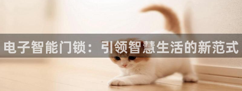 开丰娱乐平台注册：电子智能门锁：引领智慧生活的新范式