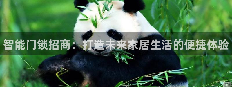 开丰娱乐2登录：智能门锁招商：打造未来家居生活的便捷体验