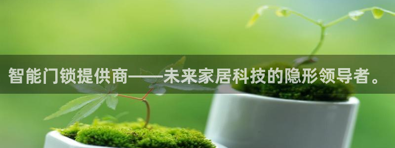 开丰娱乐上：智能门锁提供商——未来家居科技的隐形领导者。