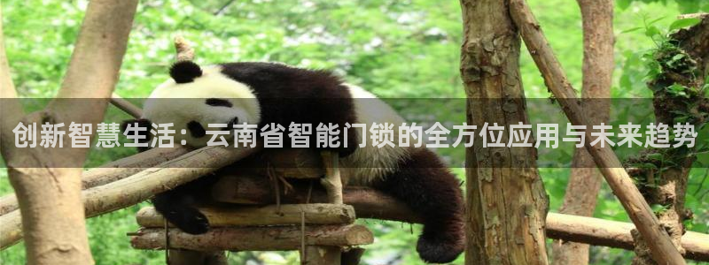开丰娱乐予 7O935：创新智慧生活：云南省智能门锁的全方位