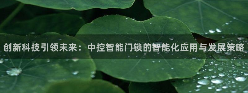 开丰娱乐开户：创新科技引领未来：中控智能门锁的智能化应用与发