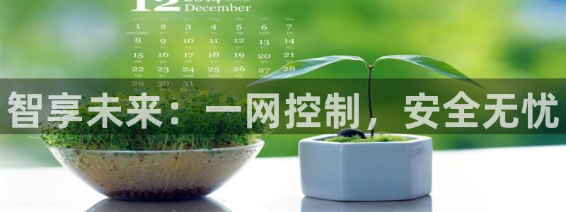 开丰娱乐咋7O777：智享未来：一网控制，安全无忧