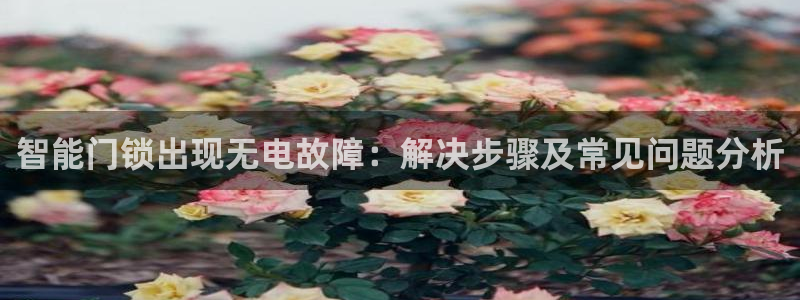 开丰娱乐：智能门锁出现无电故障：解决步骤及常见问题分析