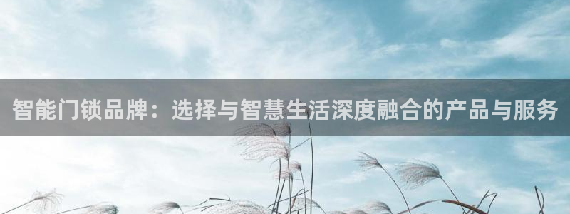 开丰娱乐登录地址入口：智能门锁品牌：选择与智慧生活深度融合的