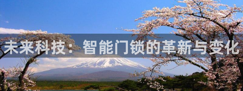 开丰娱乐优七九九47：未来科技：智能门锁的革新与变化