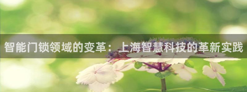 开丰娱乐登录注册：智能门锁领域的变革：上海智慧科技的革新实践