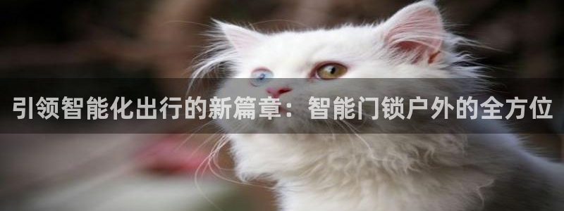 开丰娱乐登陆：引领智能化出行的新篇章：智能门锁户外的全方位