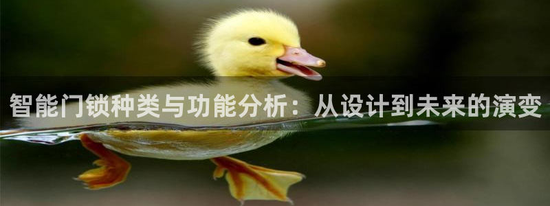 开丰娱乐乙833_43：智能门锁种类与功能分析：从设计到未来