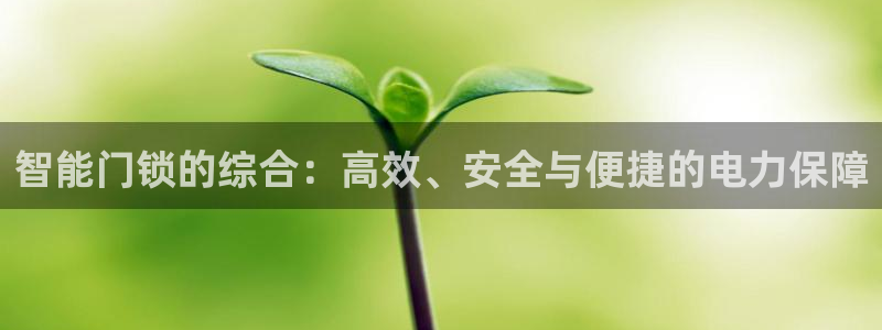 开丰娱乐平台登录网址：智能门锁的综合：高效、安全与便捷的电力