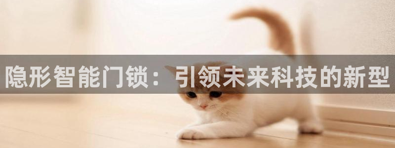 圩丰刚开的娱乐场所：隐形智能门锁：引领未来科技的新型