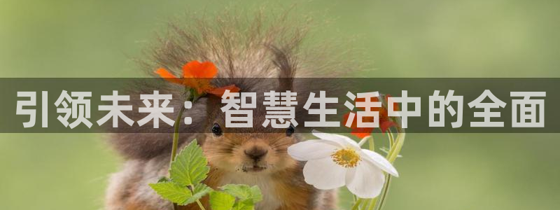 开丰娱乐怎么开转点：引领未来：智慧生活中的全面
