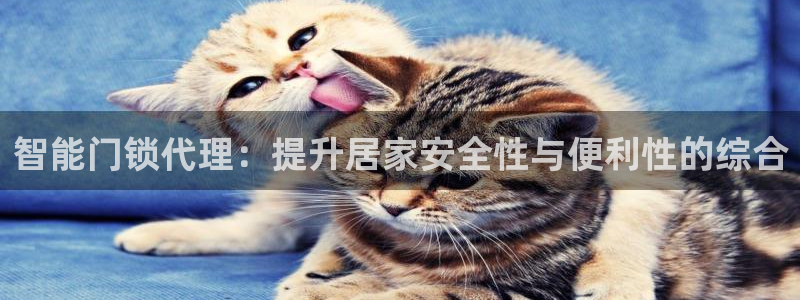 开丰娱乐咋7O777：智能门锁代理：提升居家安全性与便利性的
