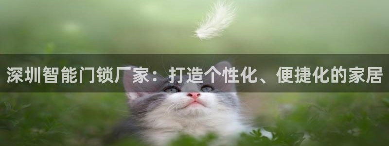 开丰娱乐上7O667：深圳智能门锁厂家：打造个性化、便捷化的