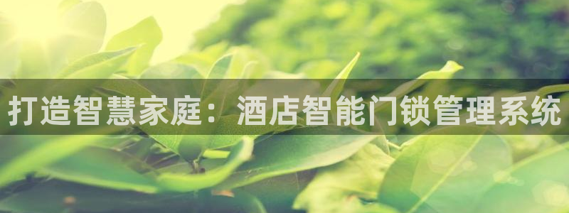 开丰娱乐登入地址在哪：打造智慧家庭：酒店智能门锁管理系统