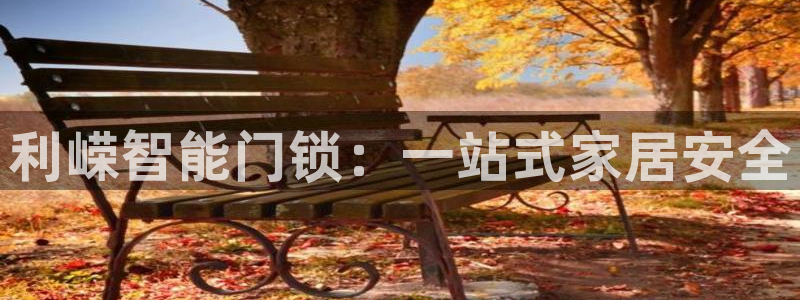 开丰娱乐官网最新消息：利嵘智能门锁：一站式家居安全