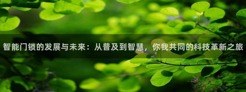 开丰娱乐网站官网：智能门锁的发展与未来：从普及到智慧，你我共