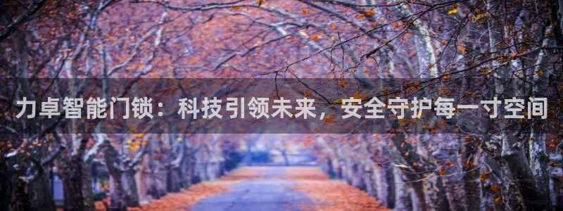 开丰娱乐趣 7O935：力卓智能门锁：科技引领未来，安全守护