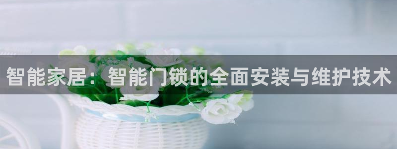 开丰娱乐网官网注册入口：智能家居：智能门锁的全面安装与维护技