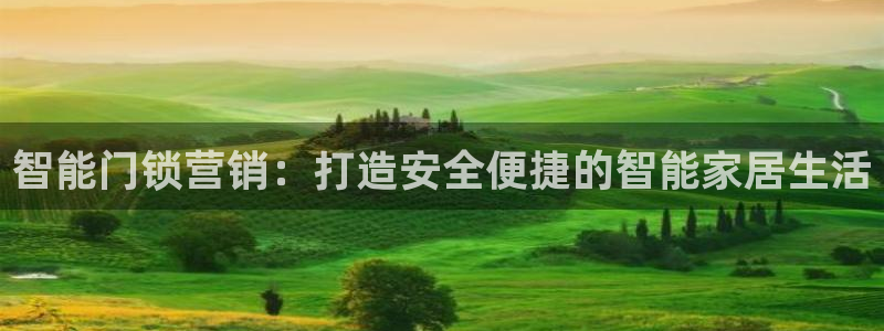 开丰娱乐平台登录网址：智能门锁营销：打造安全便捷的智能家居生