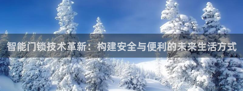 开丰娱乐注册系究耍333OO：智能门锁技术革新：构建安全与便