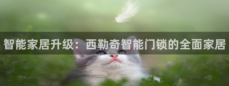 开丰娱乐登录：智能家居升级：西勒奇智能门锁的全面家居