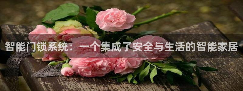 开丰娱乐体育平台：智能门锁系统：一个集成了安全与生活的智能家