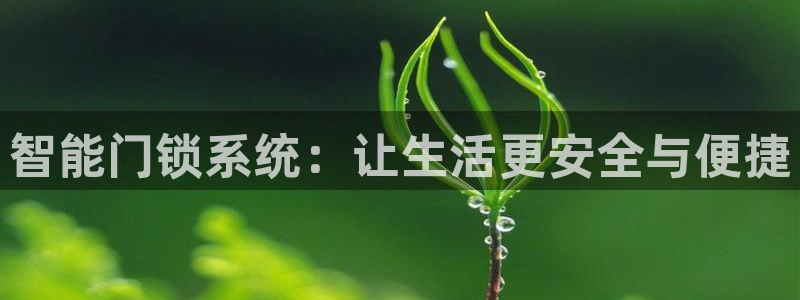 开丰娱乐予 7O935：智能门锁系统：让生活更安全与便捷