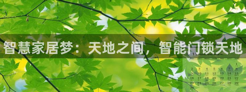 开丰娱乐寸67五壹叁八：智慧家居梦：天地之间，智能门锁天地