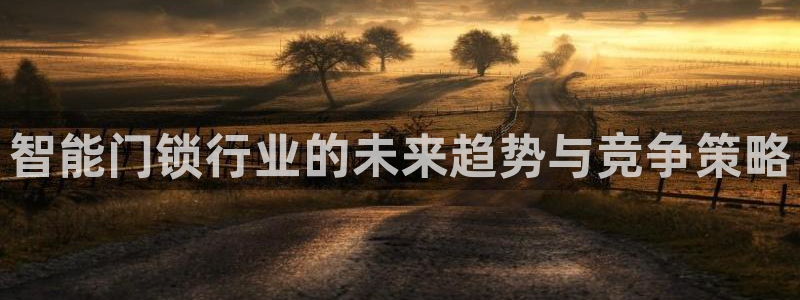 开丰娱乐登录：智能门锁行业的未来趋势与竞争策略
