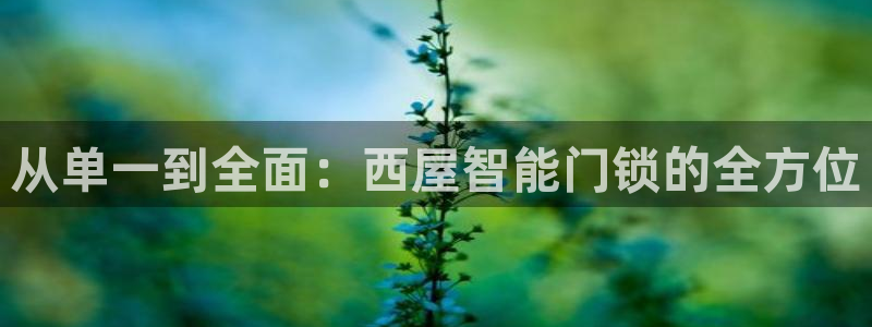 开丰娱乐注册资金多少：从单一到全面：西屋智能门锁的全方位