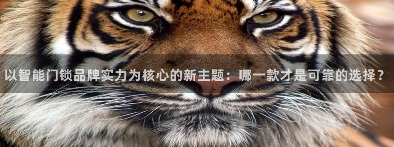 开丰娱乐 赢咖一：以智能门锁品牌实力为核心的新主题：哪一款才