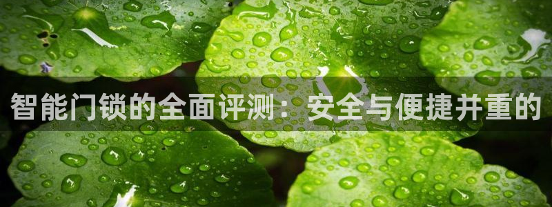 开丰娱乐不开了吗：智能门锁的全面评测：安全与便捷并重的