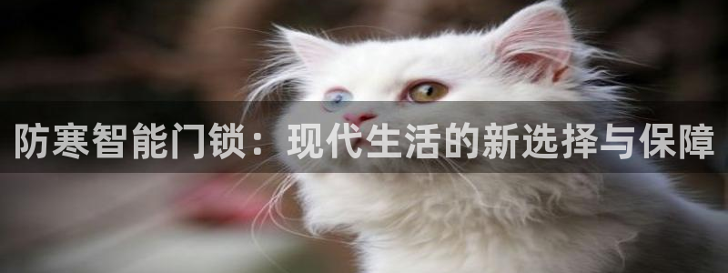 开丰娱乐登录注册：防寒智能门锁：现代生活的新选择与保障