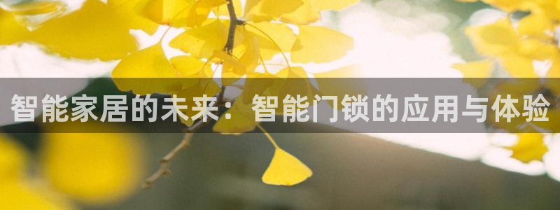 开丰娱乐登入地址在哪儿：智能家居的未来：智能门锁的应用与体验